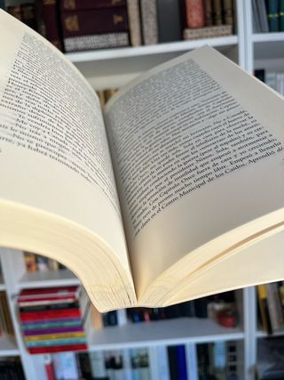 Middlesex. Jeffrey Eugenides