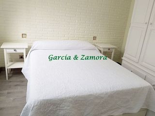 Piso en alquiler en Santa Catalina - Canteras en Palmas de Gran Canaria(Las)