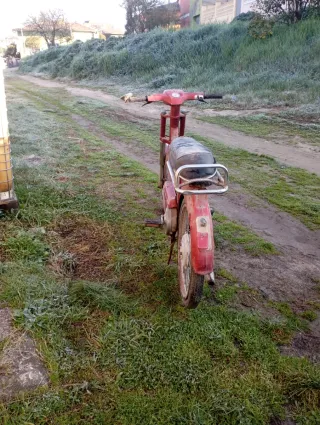 Moped Rojo
