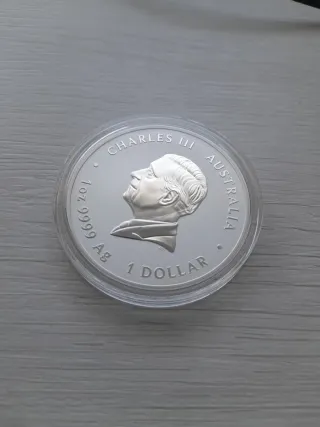 Moneda Plata 1 Onza Columnario 2025