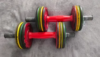 Pesas Gimnasio Salter Ajustables