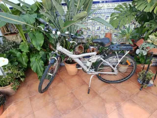 Bicicleta de paseo plateada