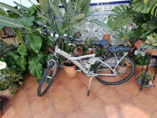 Bicicleta de paseo plateada