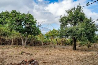 Casa adosada en venta en Victoria de Acentejo (La)