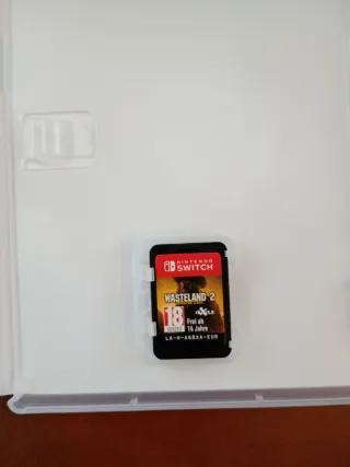 Wasteland 2 Director's Cut Switch