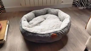 Pack arenero, cama y rascador gatos