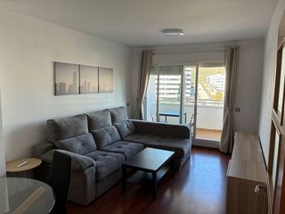 Piso en alquiler en Teatinos en Málaga