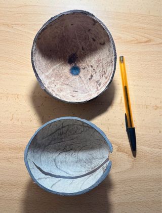 Cuencos de coco de Indonesia y Brasil