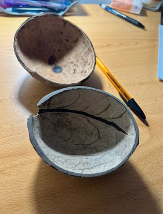 Cuencos de coco de Indonesia y Brasil