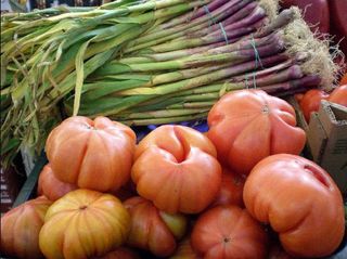 Terreno en venta en Alfaro