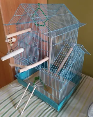 Juguete para pájaros: Accesorios Agapornis/Ninfas