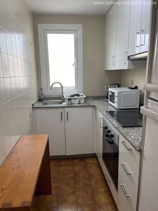 Piso en alquiler en Can Picafort en Santa Margalida