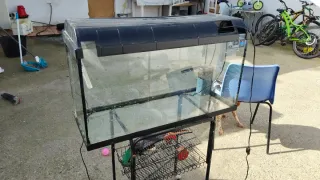 Acuario grande con filtro