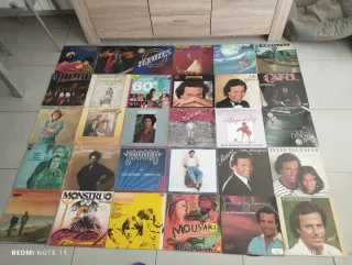 Lote Vinilos Antiguos Varios Artistas