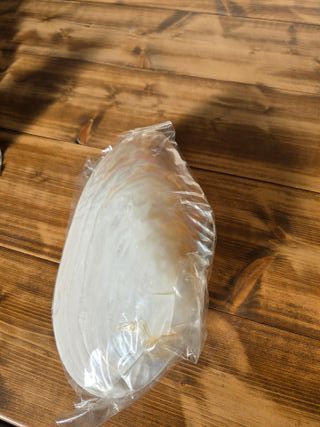 Conchiglia madreperla