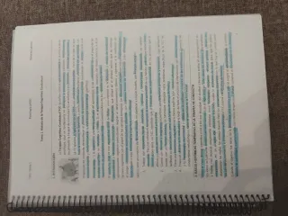 Apuntes Técnicas Intervención Cognitiva Conductual