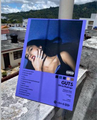 Cuadros Personalizados a tu gustó.