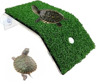 Piattaforma Rampa Tartaruga con Supporto Tartarughe