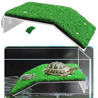 Piattaforma Rampa Tartaruga con Supporto Tartarughe