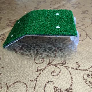 Piattaforma Rampa Tartaruga con Supporto Tartarughe