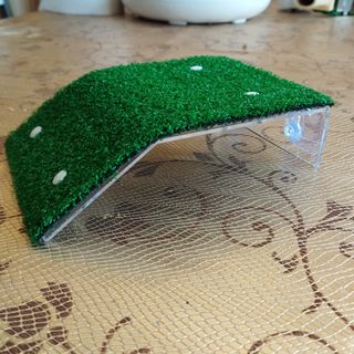 Piattaforma Rampa Tartaruga con Supporto Tartarughe