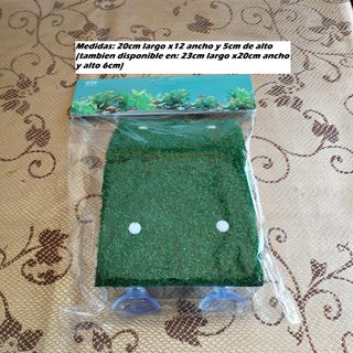 Piattaforma Rampa Tartaruga con Supporto Tartarughe