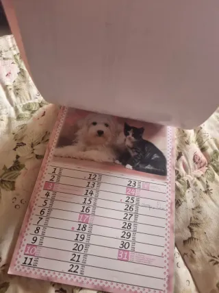 Calendari gatti e cani 2010, 2012