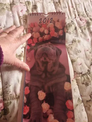 Calendari gatti e cani 2010, 2012