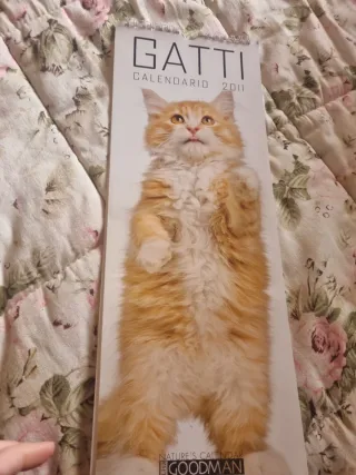 Calendari gatti e cani 2010, 2012