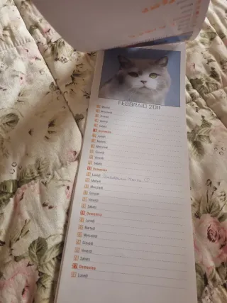 Calendari gatti e cani 2010, 2012