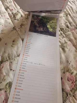 Calendari gatti e cani 2010, 2012