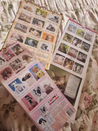 Calendari gatti e cani 2010, 2012