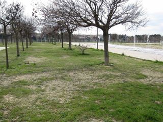 Oficina en alquiler en Valdefierro en Zaragoza