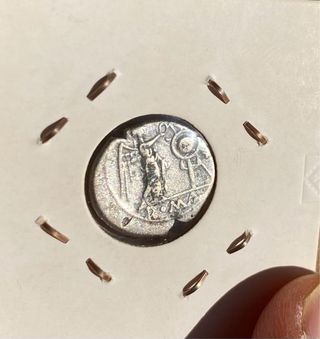 Quinario Romano Plata - Rep. Romana S.I-II ROMA