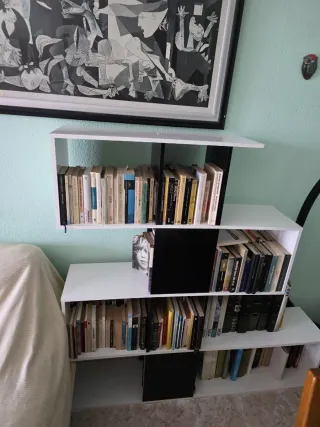 Estantería Moderna Blanca y Negra