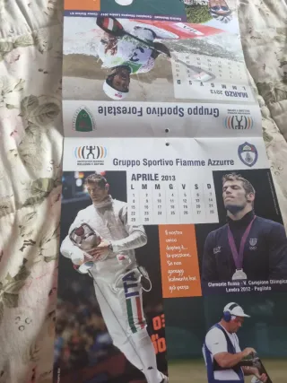 Calendario 2013, campioni