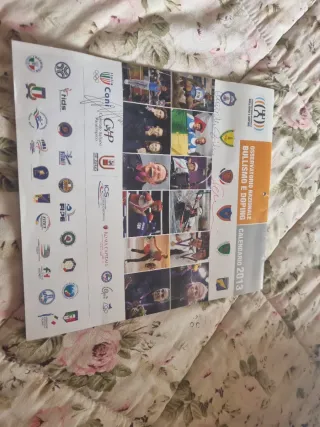 Calendario 2013, campioni
