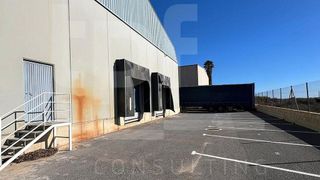Nave industrial en alquiler en Pla de la Vallonga - Bacarot en Alicante