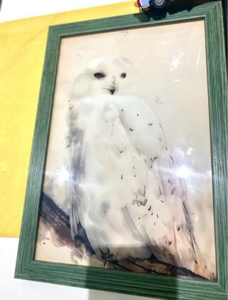 Set 3 Stampe Harry Potter 20x30