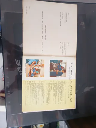 Vinilo  Subnormales Gijón