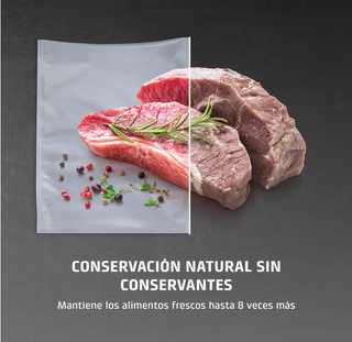 Envasadora al vacío Caso VC10 compacta