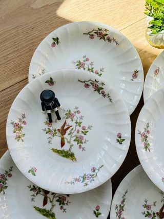 Juego de platos porcelana francesa ave