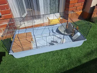 Jaula para conejo/cobaya con complementos