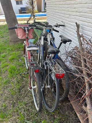 3 Bicicletas