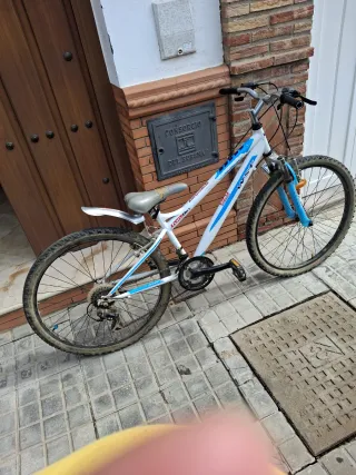 Bicicleta infantil WST 12 años