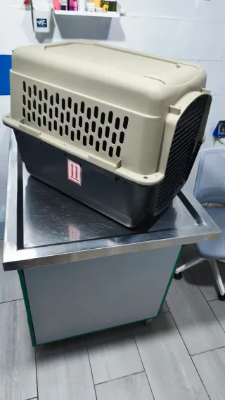 Transportín perro mediano