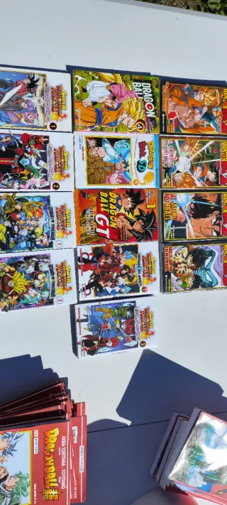 13 mangas dragón ball