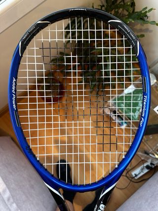 Raqueta Prince Blue Shark Ti 265g Tenis/Frontenis