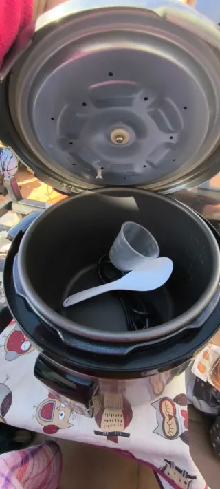 Olla a presión programable