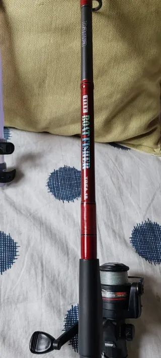 Caña de pesca Boat Fisher con carrete